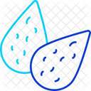Almond  Icon