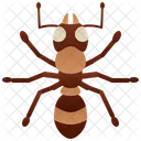 Ant  Icon