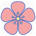 Apricot Blossom Icon