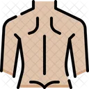 Back  Icon
