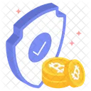 Bitcoin Protection Currency Icon