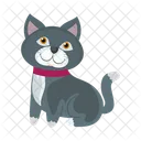 Black Cat Cat Pet Icon