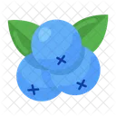 Blueberries  Icon