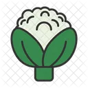 Broccoli Cauliflower Cauliflower Nutrition Icon