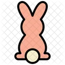 Bunny  Icon
