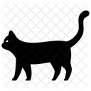 Cat  Icon