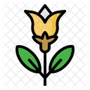 Chamomile Flower Herbal Icon