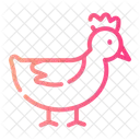 Chicken  Icon