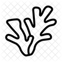 Coral  Icon