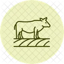 Cow in cropland  Icon