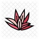 Cryptocoryne  Icon