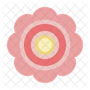 Daisy Flower Blossom Plant Icon