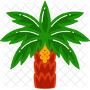 Date palm tree  Icon