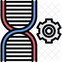 Dna Optimization  Icon