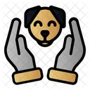 Dong Animal Lover Pet Icon