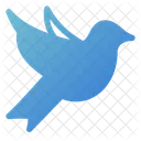 Dove Animal Bird Icon