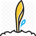 Emerge  Icon