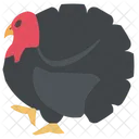 Truthahn Vogel Tier Truthahn Symbol