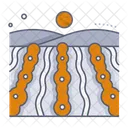 Field  Icon