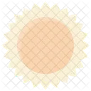 Spring Flower Floral Icon