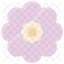 Spring Flower Floral Icon
