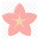 Spring Flower Floral Icon