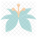 Spring Flower Floral Icon