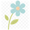 Spring Flower Floral Icon