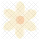 Flower Vector Spring Icon