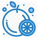 Fruit Orange Orange Slice Icon