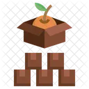 Fruit Stock  Icon