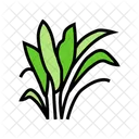 Grass  Icon