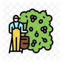 Harvesting Olive Manual Berries Icon