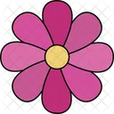 Matricaria Flower Chamomile Bloom Sweet Scent Icon