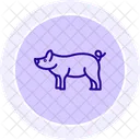 Miniature Pig Icon