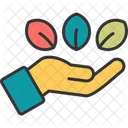 Natural Nature Organic Icon