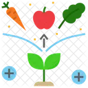 Natural Nature Organic Icon