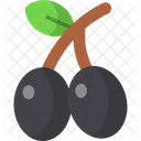 Olive Vegetarian Fruit Icon