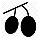 Olive Petite Fruit Icon