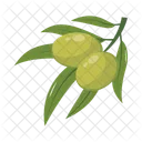 Fresh Healthy Olives Icon