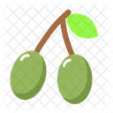Olive Oil Food Icon
