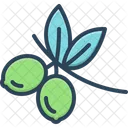 Oliver Leaf Branch Icon