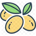 Olives Oil Branch Icon
