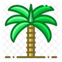 Palm Tree Plant Icon