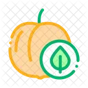 Peach Fruit Leaf Icon