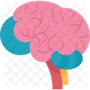 Pedagogia Aprendizagem Inteligencia Ícone