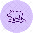 Pig In Mud Pig Mud Icon