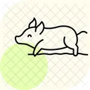 Pig Rolling In Mud Pig Rolling Icon