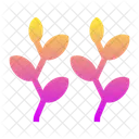 Plan Icon