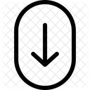 Scroll Down  Icon